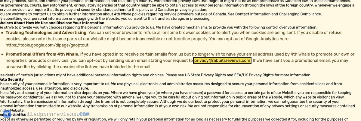 TheBestPorn privacy policy, Promotional Offers from 4th Whale paragraph, with the address privacy@rabbitsreviews.com highlighted